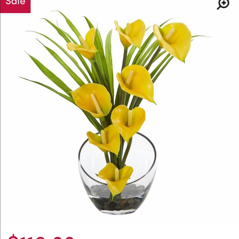 Meet your Posher, Rebeca